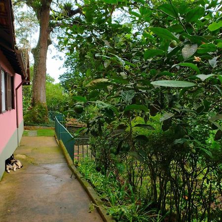 Casa Fazenda Inglesa - Anexo Villa Petrópolis Esterno foto