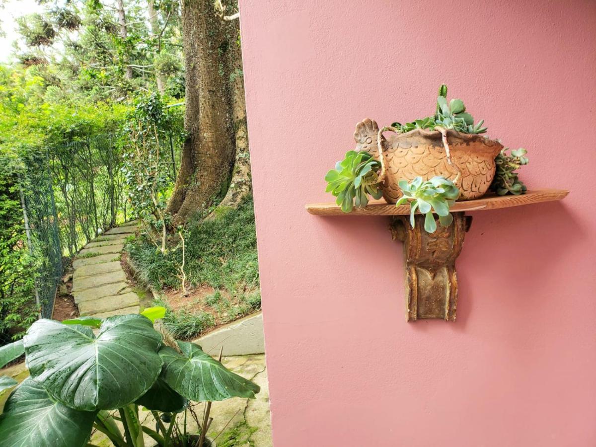 Casa Fazenda Inglesa - Anexo Villa Petrópolis Esterno foto